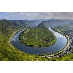 Mosel