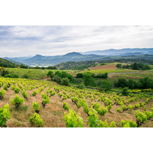 Roussillon