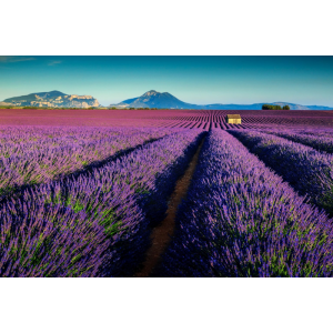 Provence