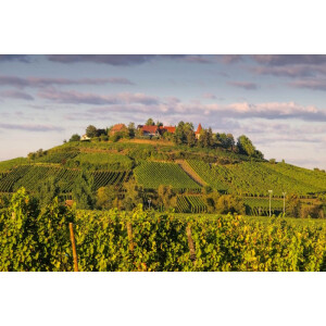 Elsass
