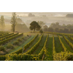 Bergerac