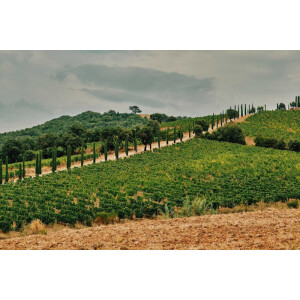 Maremma