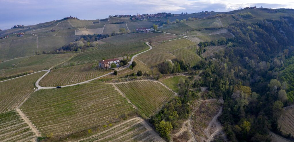 Landschaft in Barolo mit Weinbergen