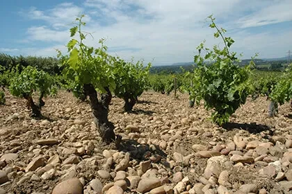 Innenhof Domaine Saint Ferréol