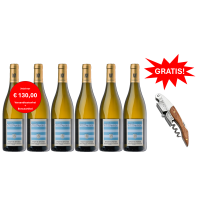 Probierpaket Westhofener Weißer Burgunder & Chardonnay vom Top Weingut Wittmann        (6 * 0,75 L) versandkostenfrei