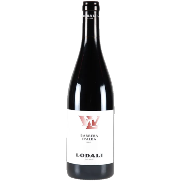 Barbera d´Alba DOC 2024