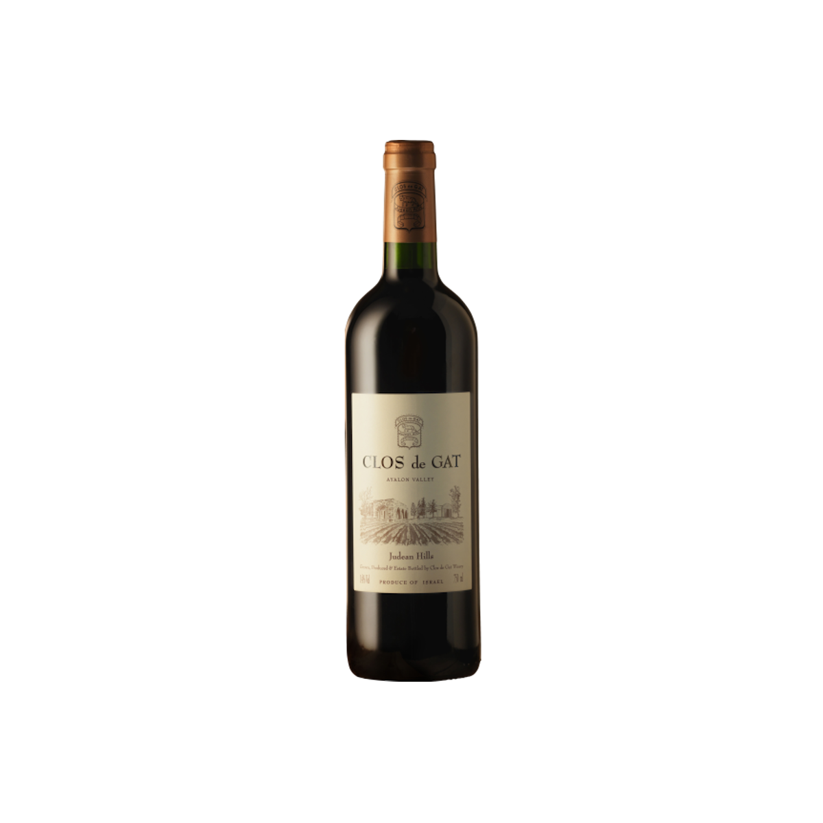 Ayalon Valley 2018 box