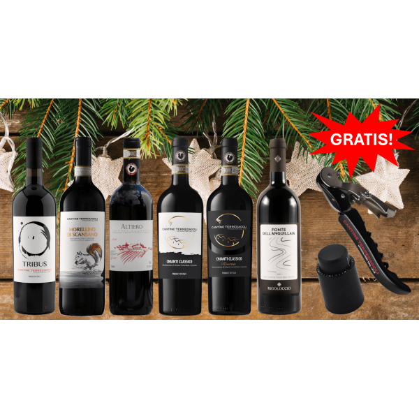 Weinpaket - Rotweine aus der Toskana (6 * 0,75 L)