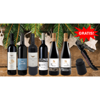 Weinpaket - Rotweine aus Israel 1 (6 * 0,75 L)