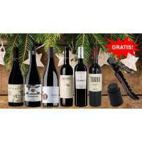 Weinpaket - Rotweine aus Spanien 2 (6 * 0,75 L)